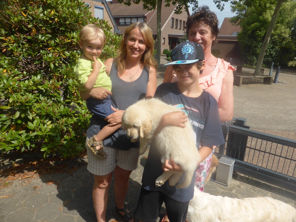 Golden-Retriever-Bremen