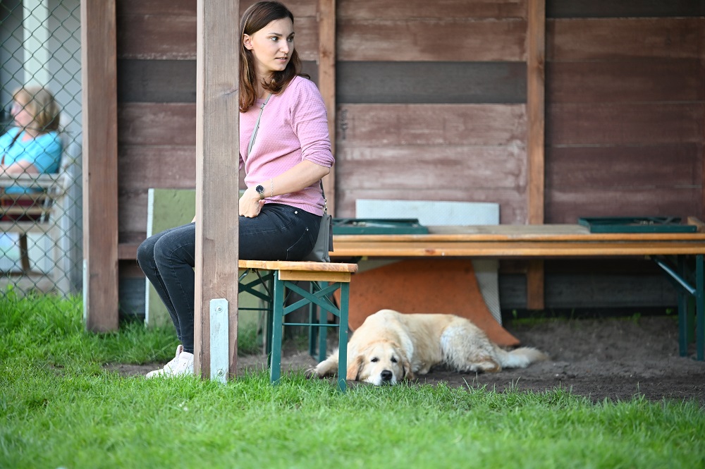 Golden-Retriever-Bremen