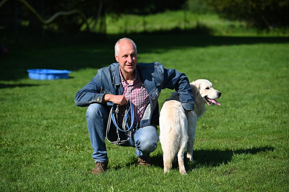 Golden-Retriever-Bremen