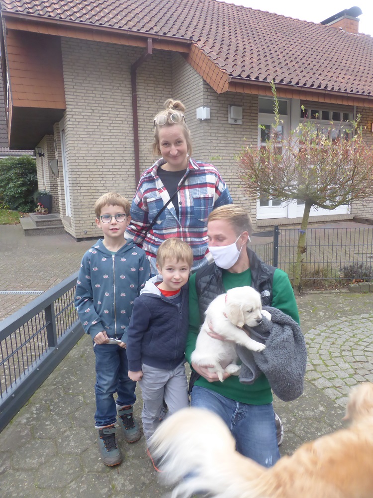 Golden-Retriever-Bremen