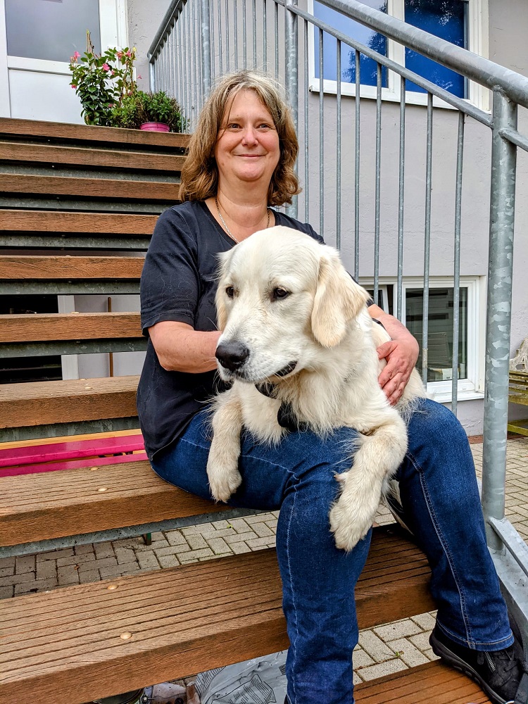 Golden-Retriever-Bremen