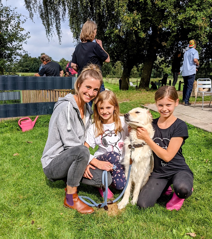 Golden-Retriever-Bremen