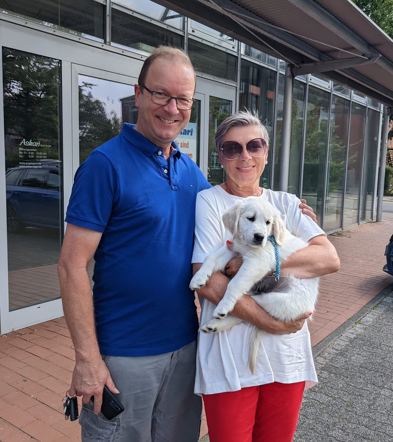Golden-Retriever-Bremen