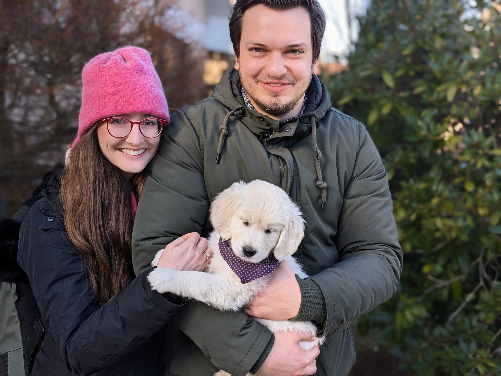 Golden-Retriever-Bremen
