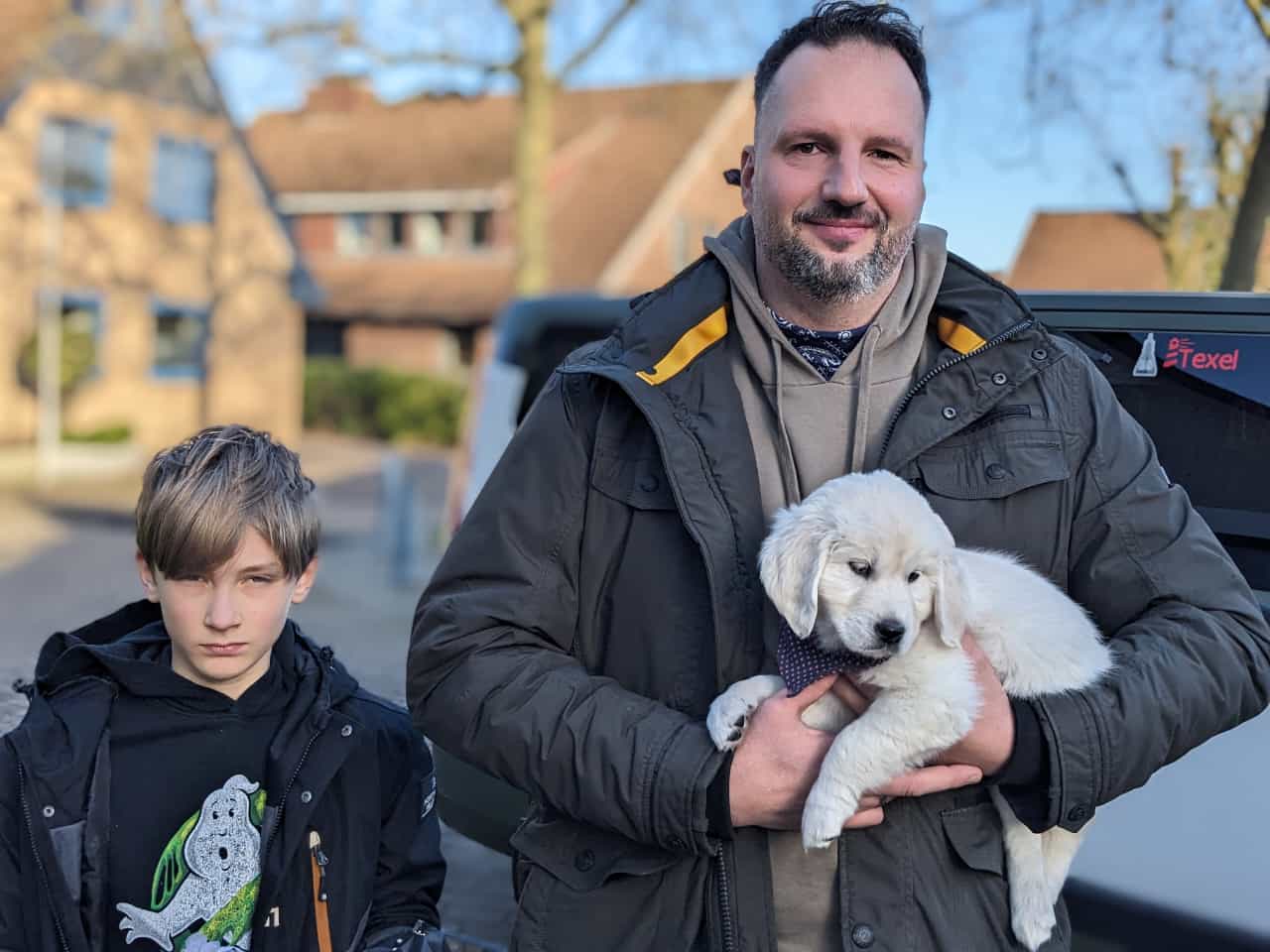 Golden-Retriever-Bremen