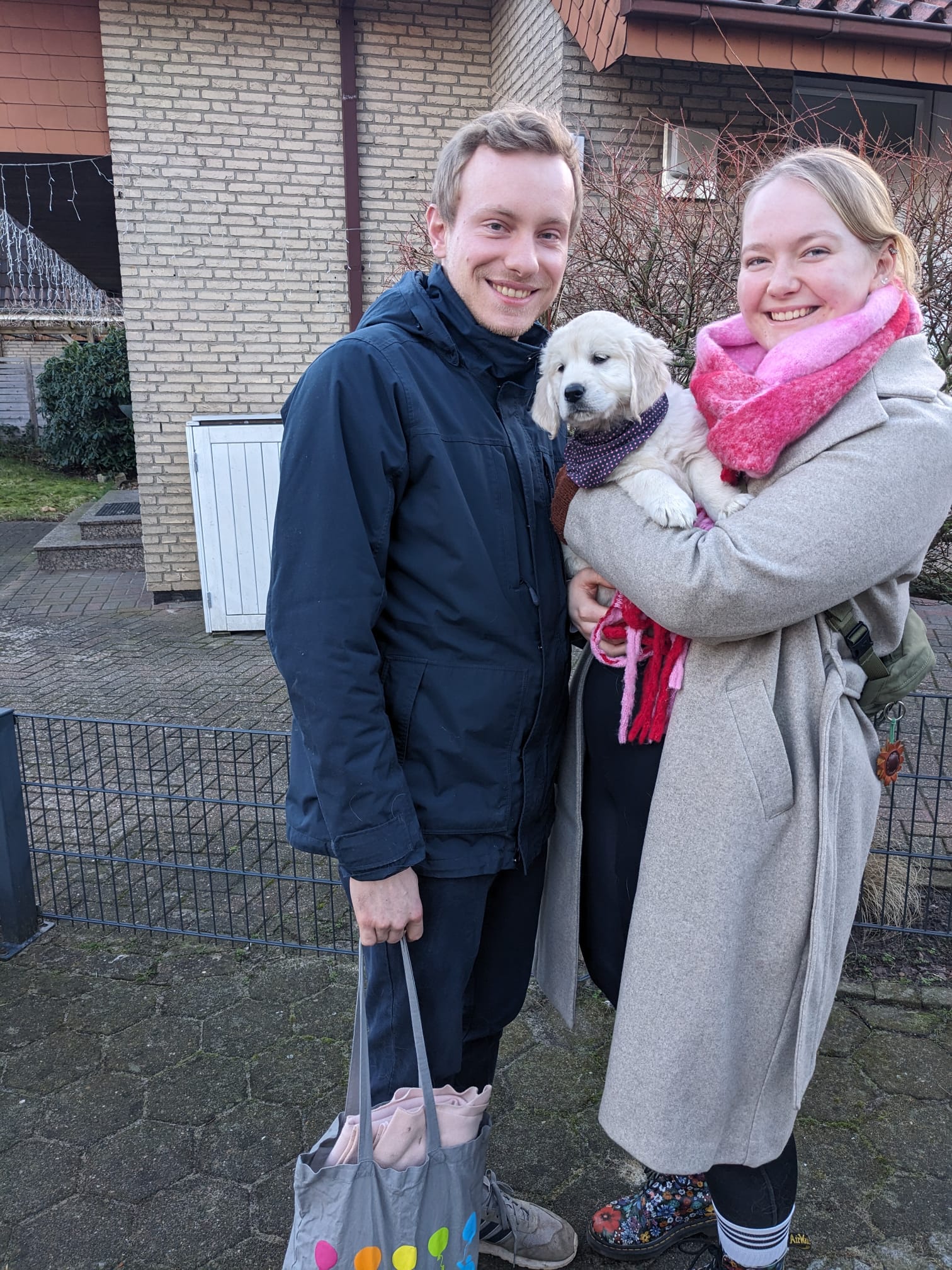 Golden-Retriever-Bremen