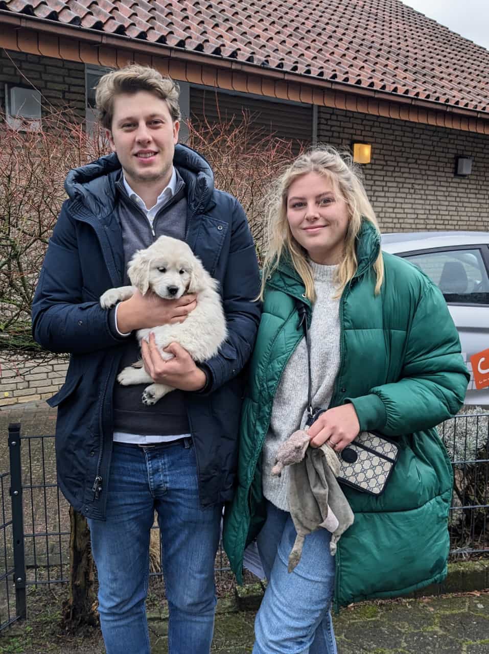 Golden-Retriever-Bremen