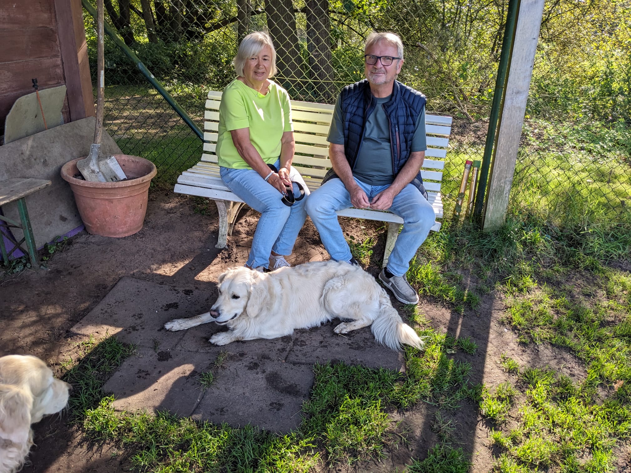 Golden-Retriever-Bremen