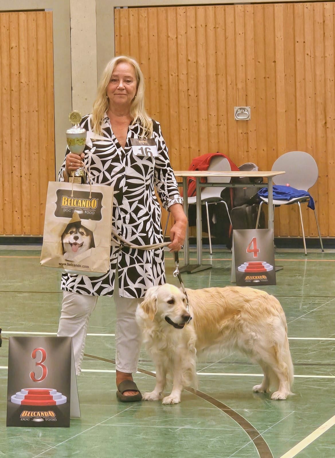 Golden-Retriever-Bremen