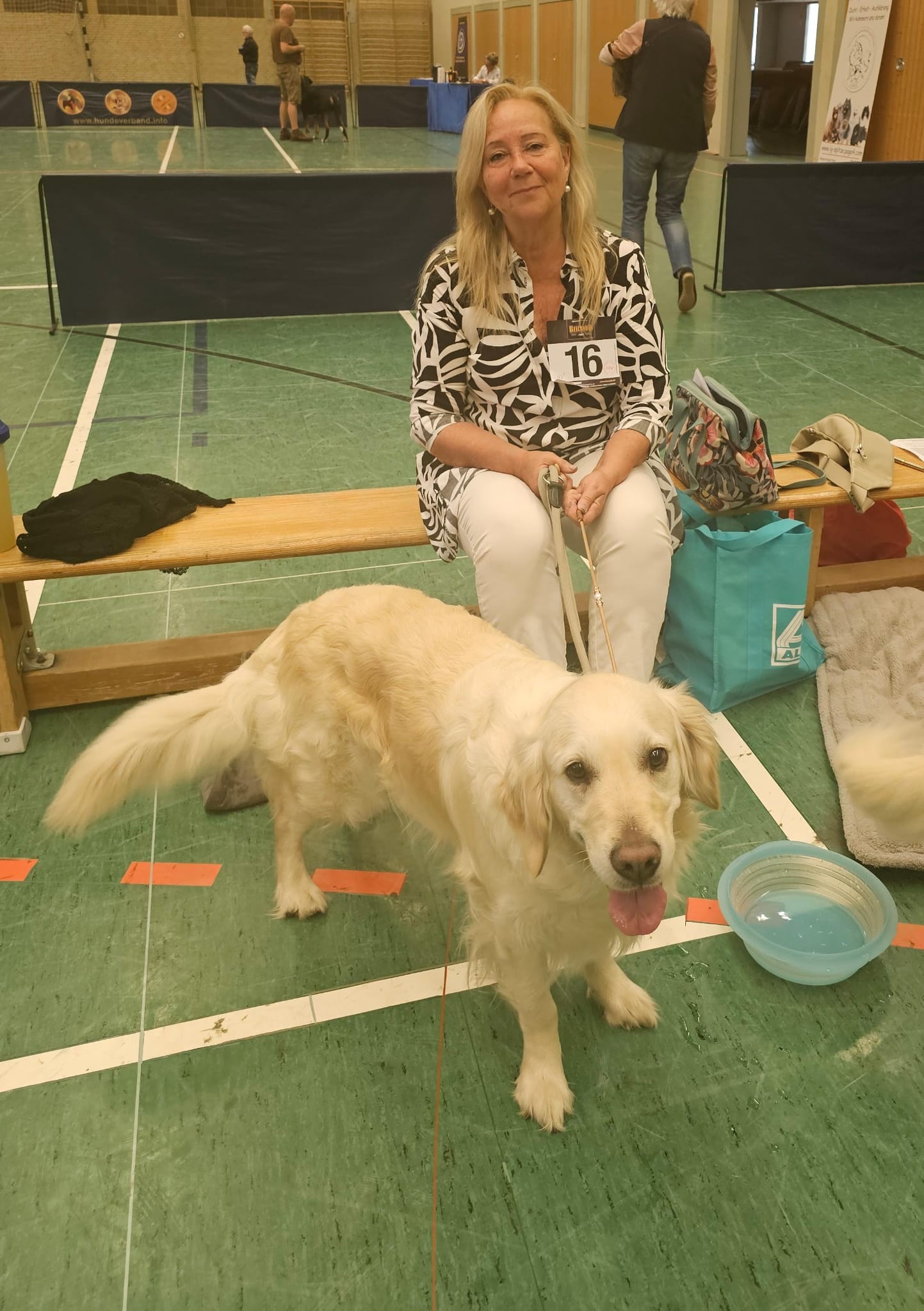 Golden-Retriever-Bremen