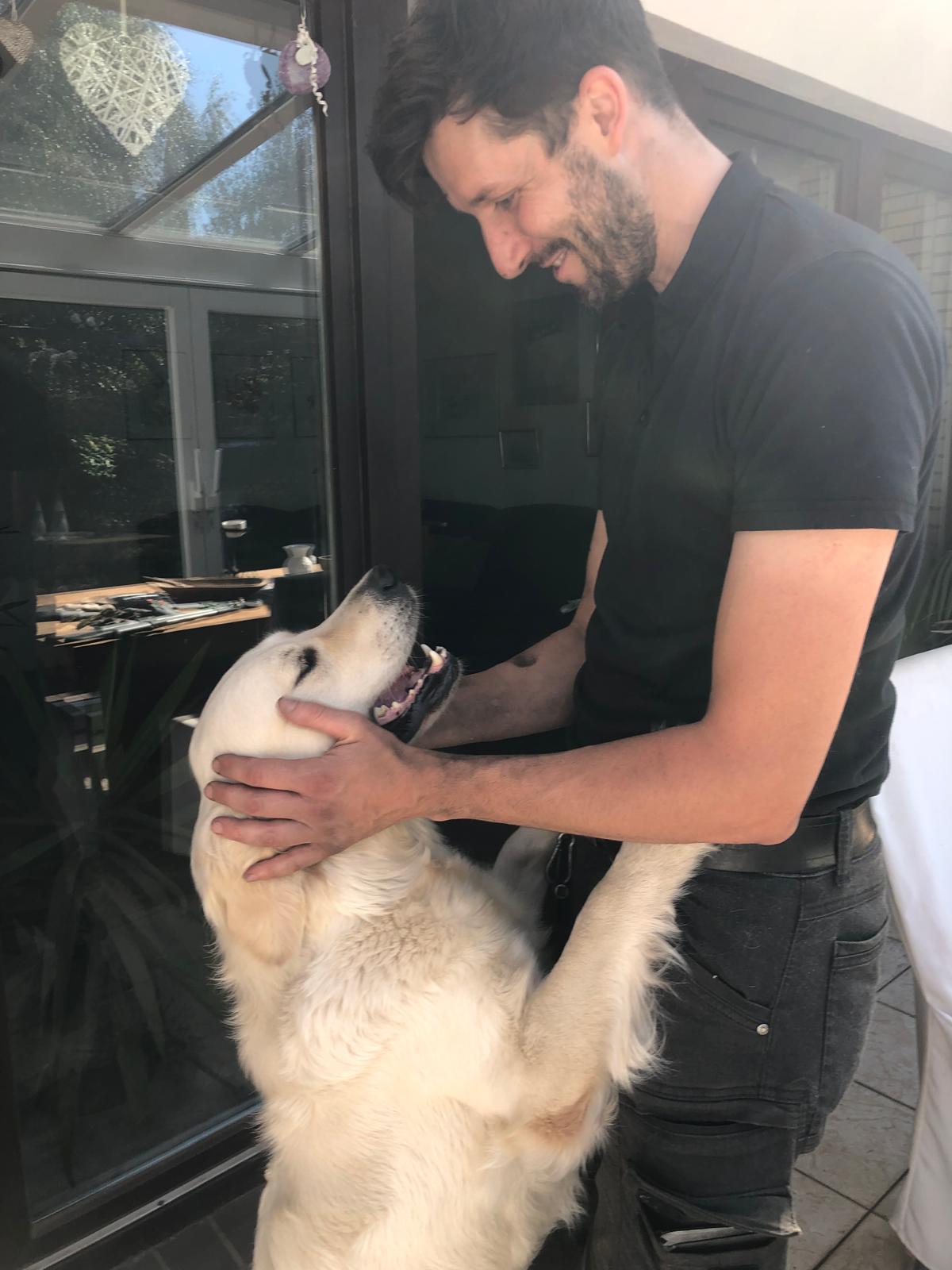 Golden-Retriever-Bremen